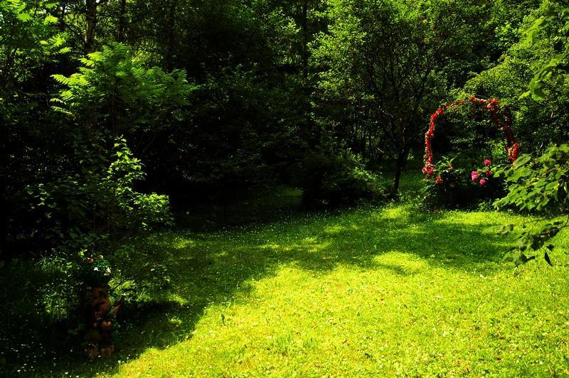 Raj Muszyna Apartamenty Z Widokiem Na Panorame Gorska מראה חיצוני תמונה