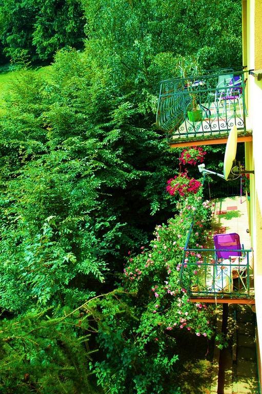 Raj Muszyna Apartamenty Z Widokiem Na Panorame Gorska מראה חיצוני תמונה