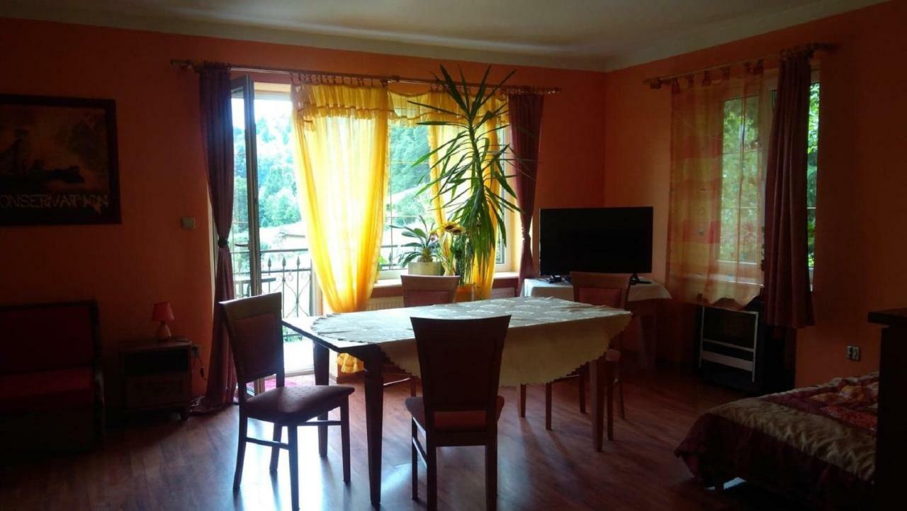Raj Muszyna Apartamenty Z Widokiem Na Panorame Gorska מראה חיצוני תמונה